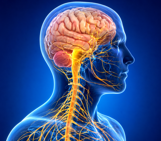 Multiple Sclerosis